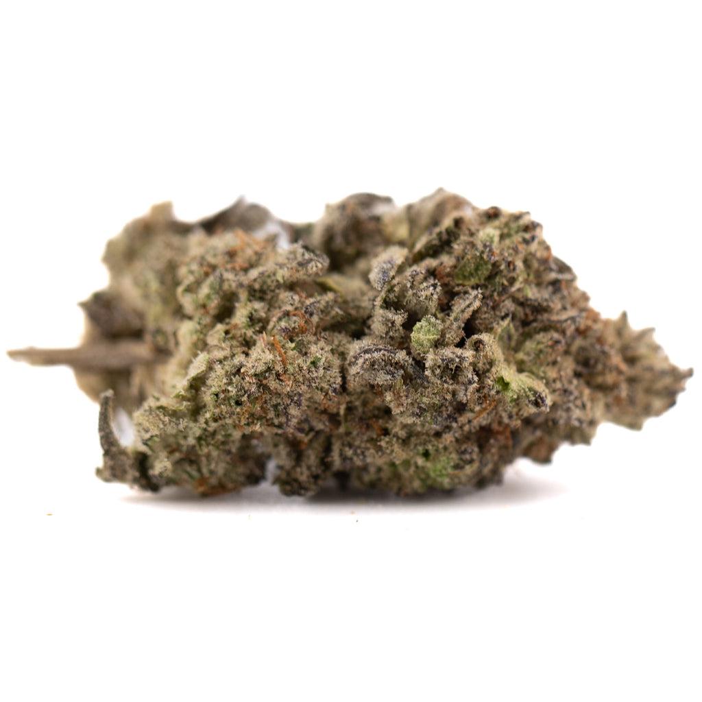 Premium Dough Boy THCa hemp flower bud with dense trichomes