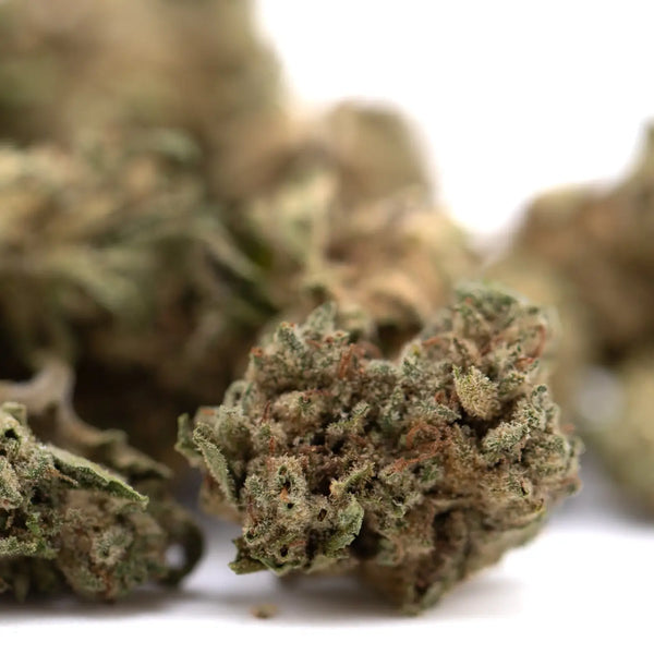 Green vs Purple THCA Flower