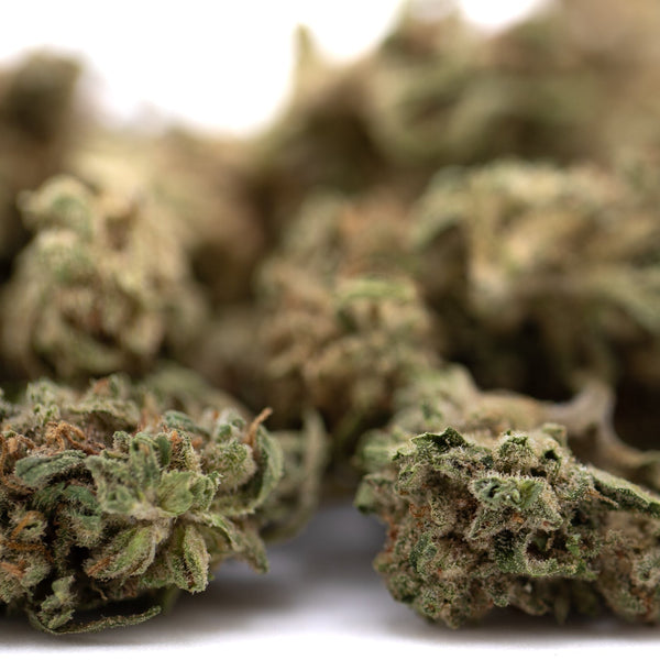 Durban Poison pure sativa THCa flower smalls with green brown buds