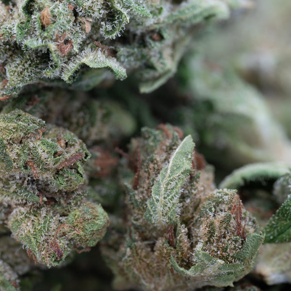 Face Gas THCa Hemp Flower Smalls - Plants