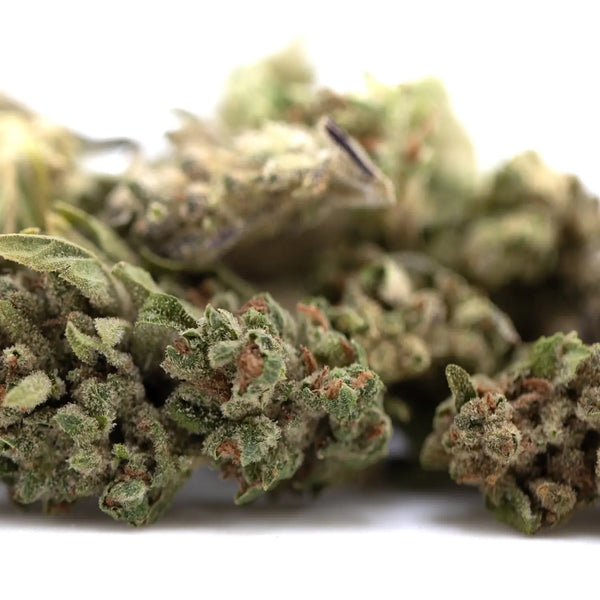 Sour Diesel vs Fog Dog THCa Flower