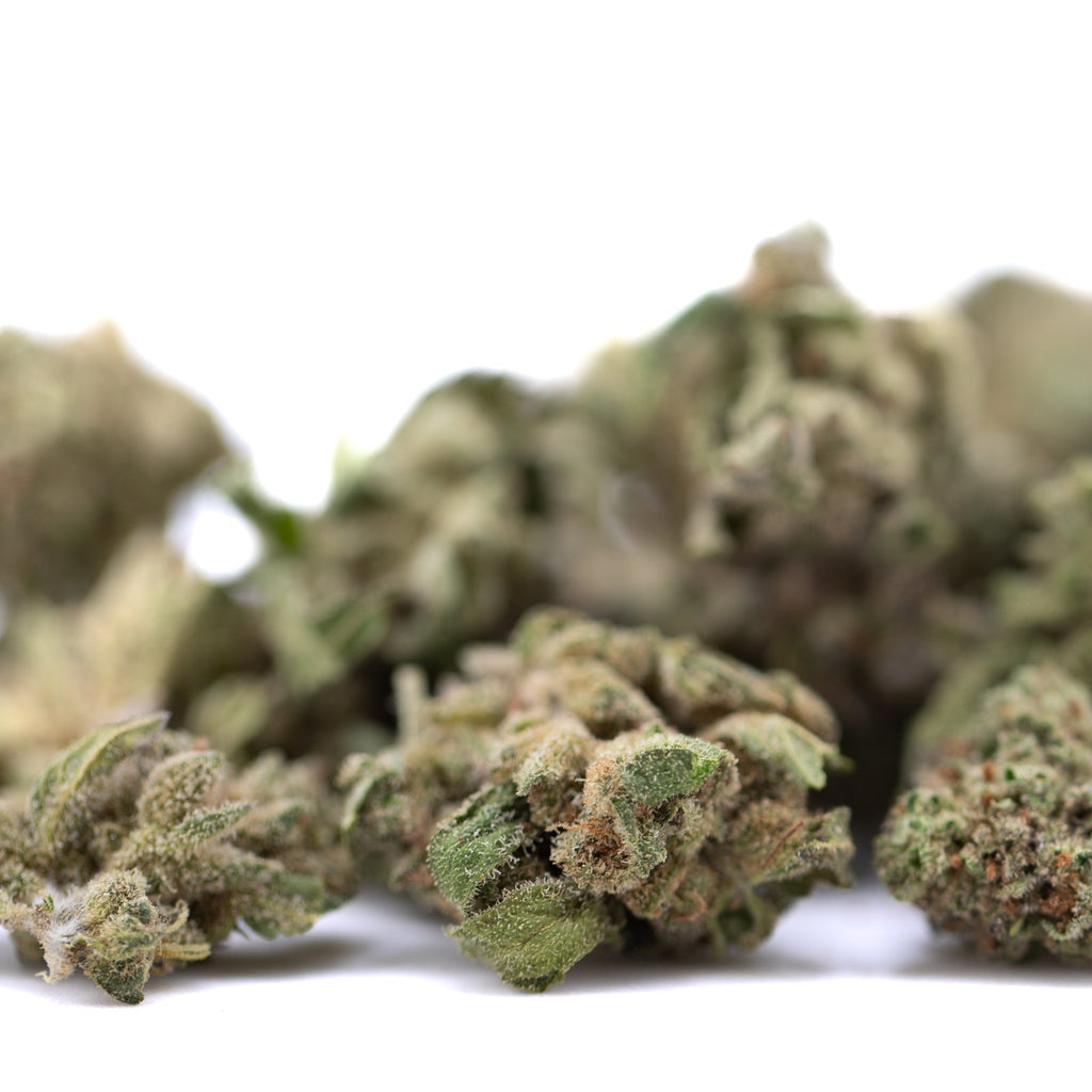 Premium Froot by the Foot THCa hemp flower buds with candy flavor