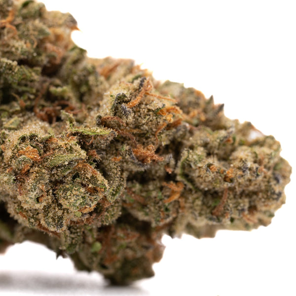 Garlic Cookies THCa Hemp Flower Greenhouse - Plants