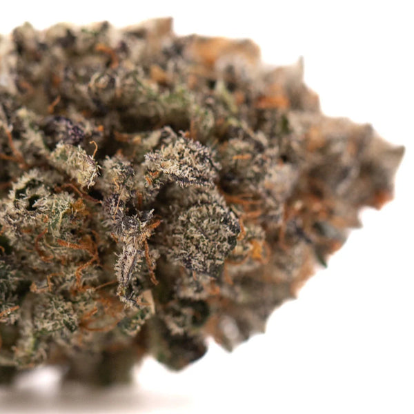 GMO Kush vs GAS