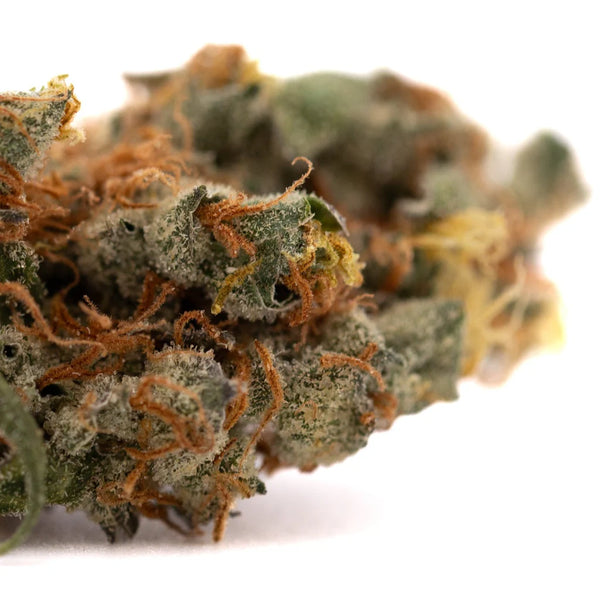 GMO Kush vs GAS