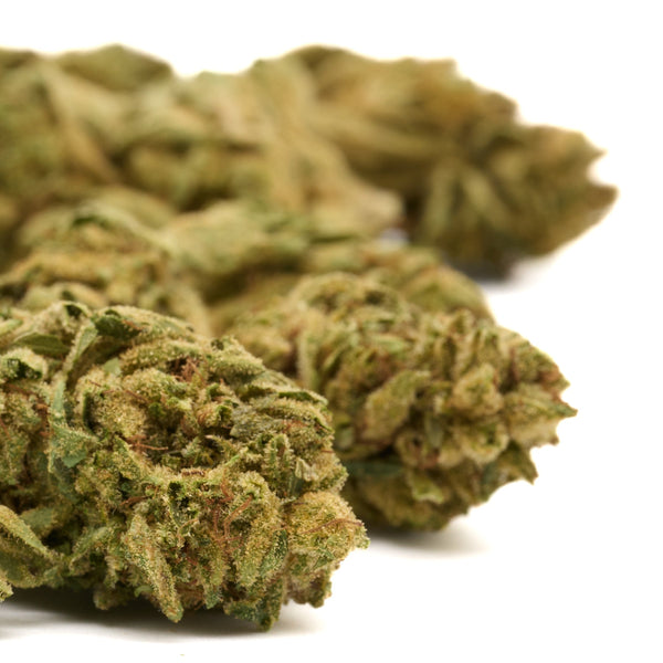 Dried Gorilla Glue THCa hemp flower buds from greenhouse-grown hemp flower product