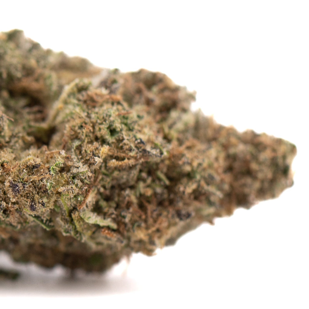 Government Oasis THCa hemp flower showing a green and brown trichome-covered marijuana bud