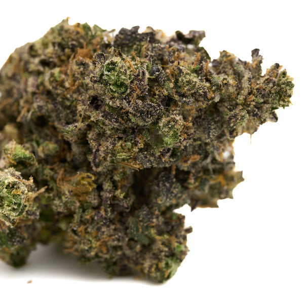 Dense cannabis bud of Hash Burger Indoor THCa Flower - 5 gram for premium quality