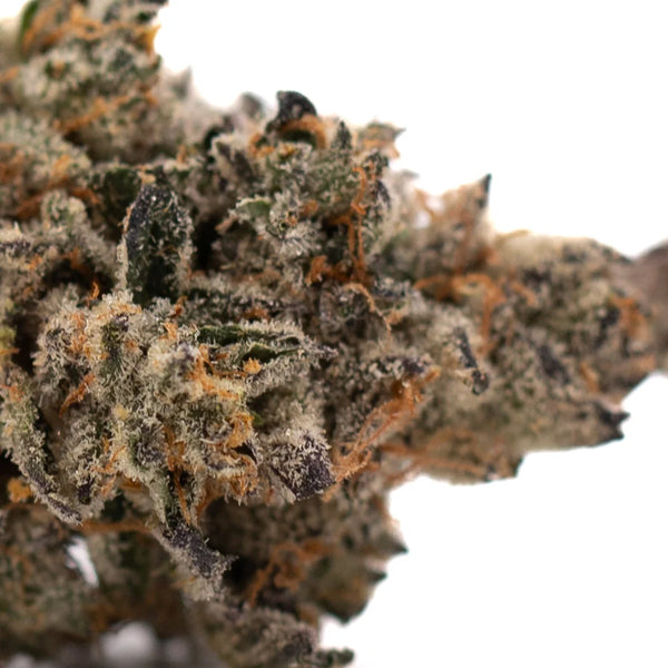 Hooch Indoor THCa Flower vs Canal Street Runtz