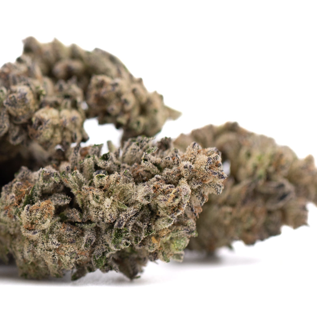 Hooch THCa hemp flower bud with dense trichomes and green hues