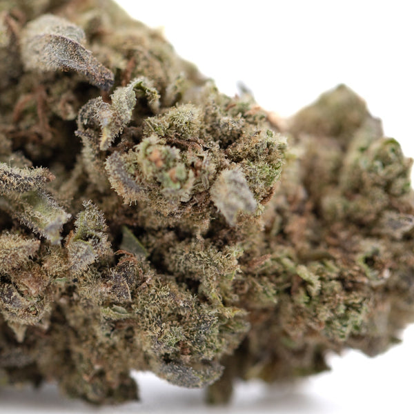 Premium Jelly Donut THCa Flower: Green Bud with Frosty Trichomes