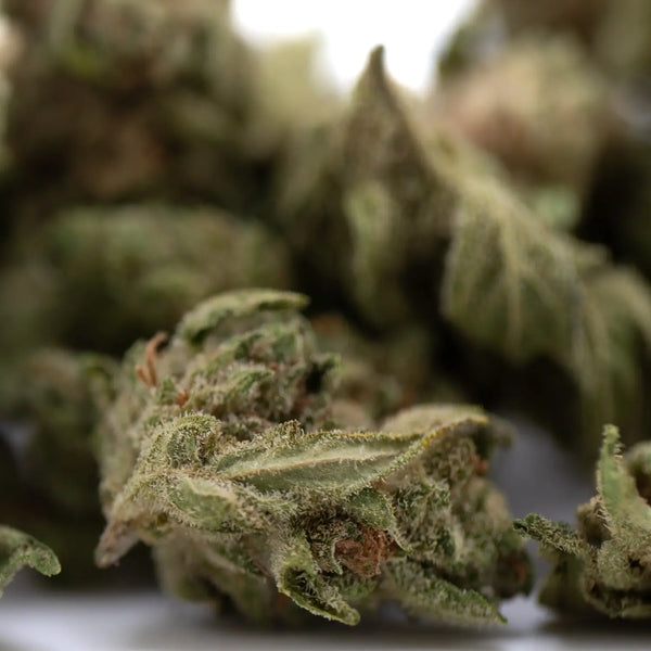 Jelly Mints vs Jelly Donut THCA Smalls