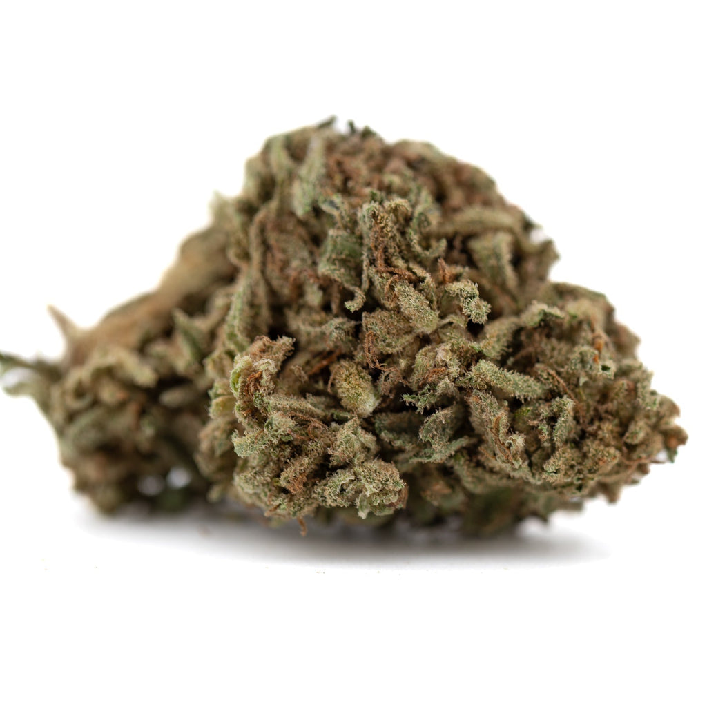 Premium Jelly Mints THCa Flower: Dense Green Bud with Trichomes