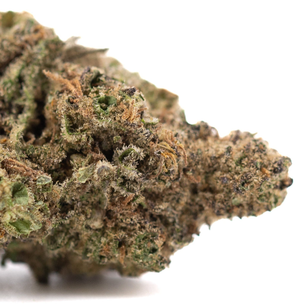 Greenhouse Joker OG THCa Hemp Flower with green cannabis bud and orange trichomes