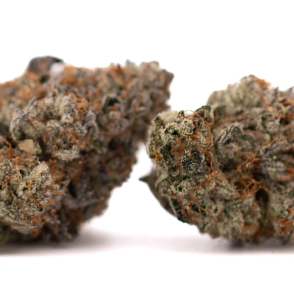 Jokerz Candy vs Gelato Mints