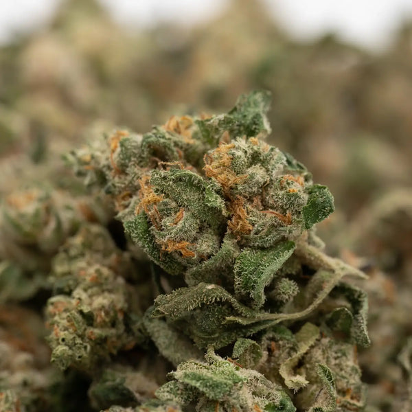 How to Create New THCA Strain