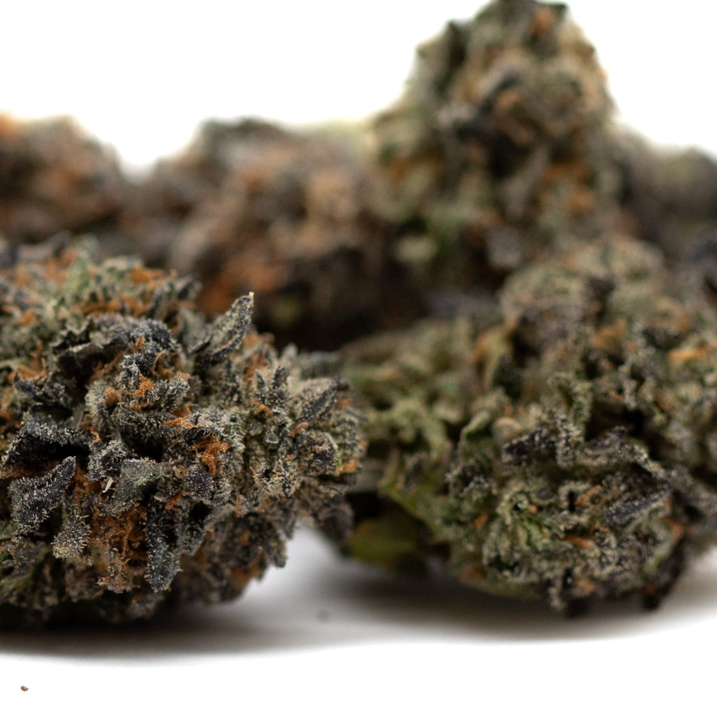 Dense cannabis buds of Lemon OG Indoor THCa Flower showcasing vibrant orchard swirl colors