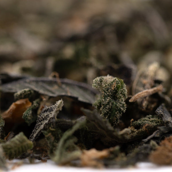 Pile of dried green herbs on Lung Buster Indoor Trim Wholesale 1LB for hemp flower THCASHCA trim
