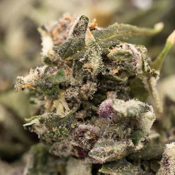 How THCA Converts to THC