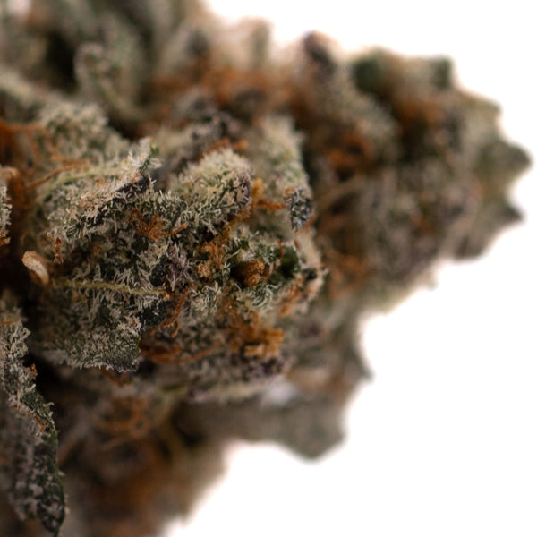 Dense trichome-covered cannabis bud from Poppin Bottlez Indoor THCA Flower