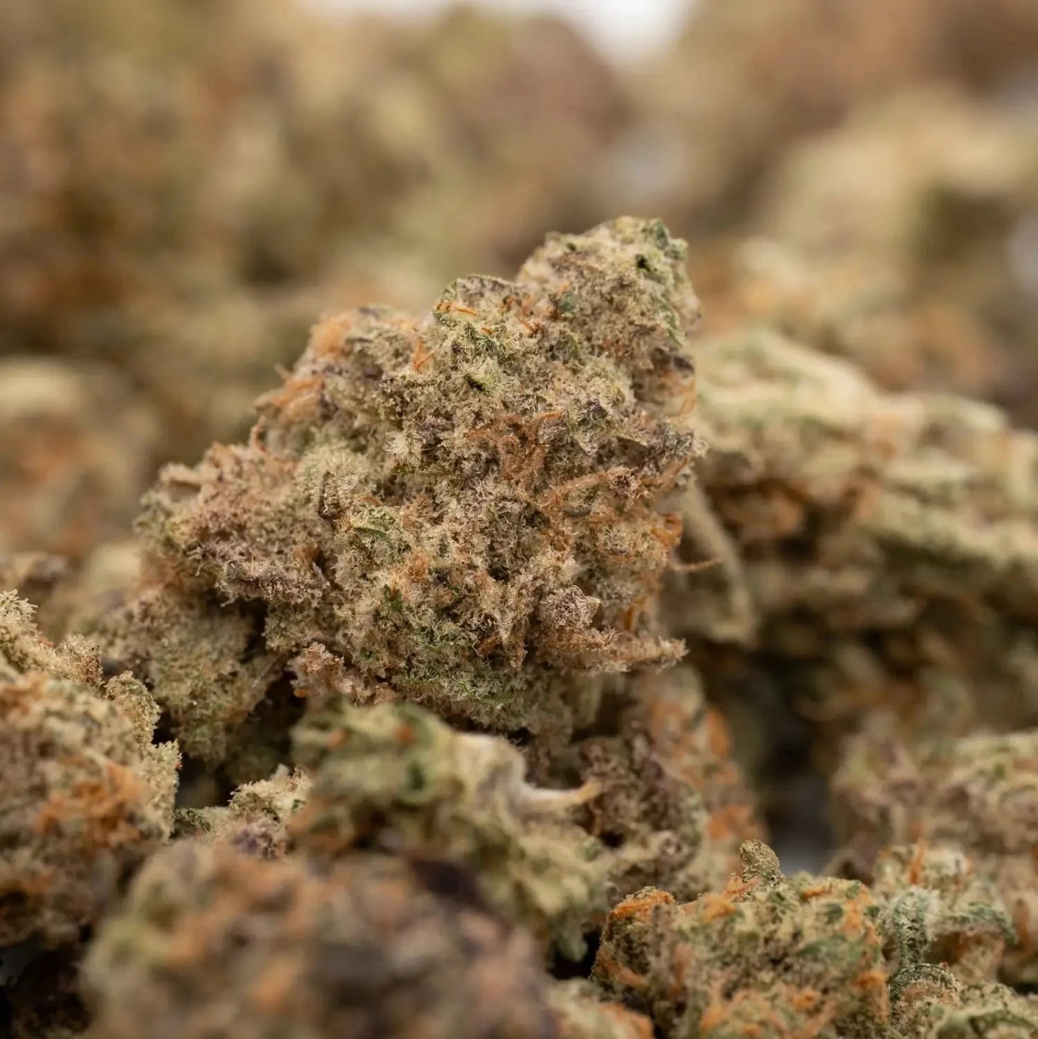 How is THCA Concentrate Made?