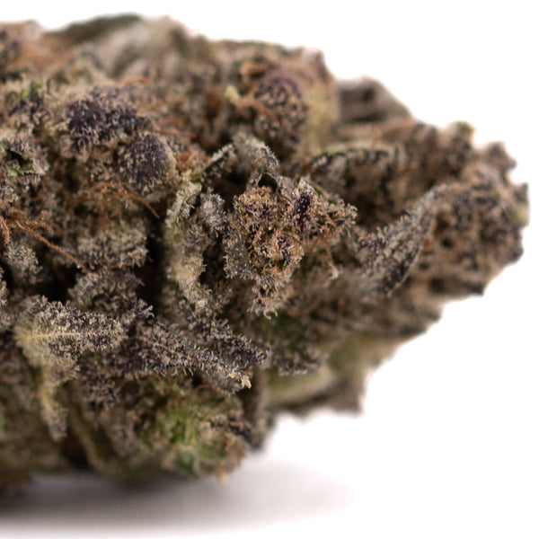 Purple Mountain Majesty THCa hemp flower bud with dark green leaves and white trichomes
