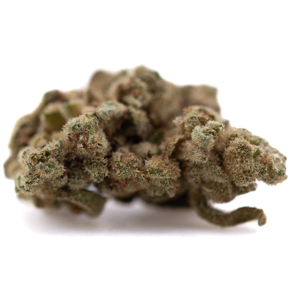 Sour Diesel vs Fog Dog THCa Flower