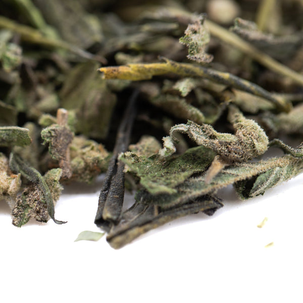 Dried white sage tea leaves with green edges, Subzero Greenhouse THCa trim