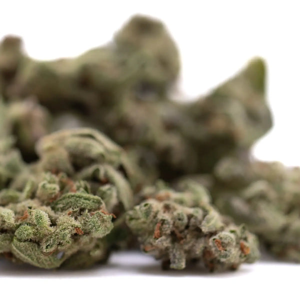 The Complete History of THCA Flower