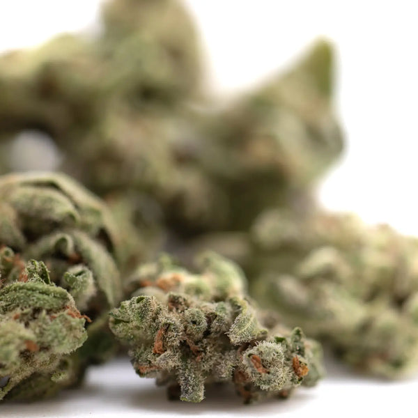 Green vs Purple THCA Flower