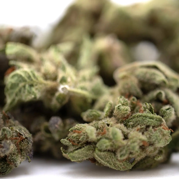 TriCross or Top Gun THCA Smalls