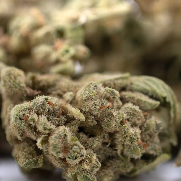 TriCross or Top Gun THCA Smalls