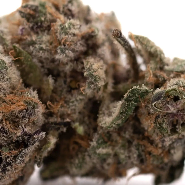 THCA Flower Quality Control