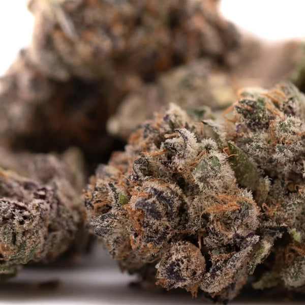 Chimera Greenhouse THCa vs Tropical Paradise Indoor