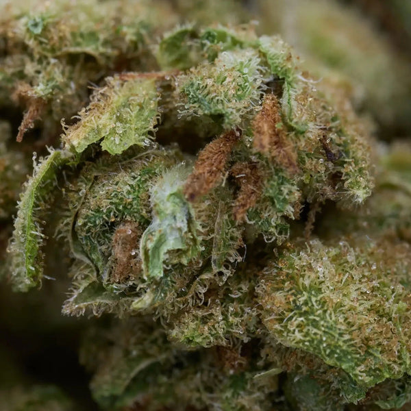 THCA for Pre-Workout