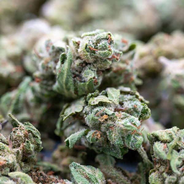 How THCA Converts to THC